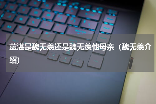 蓝湛是魏无羡还是魏无羡他母亲（魏无羡介绍）