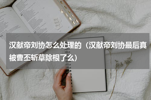 汉献帝刘协怎么处理的（汉献帝刘协最后真被曹丕斩草除根了么）