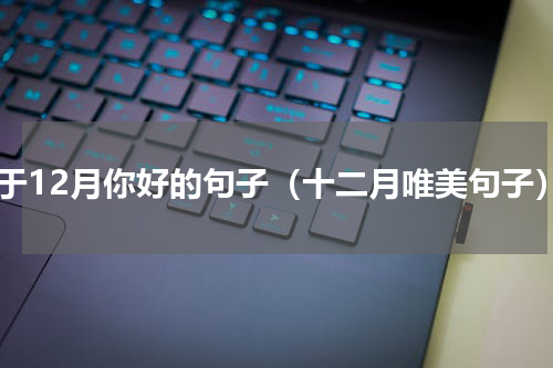 关于12月你好的句子（十二月唯美句子）