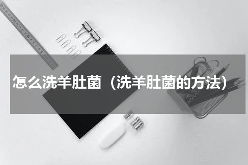 怎么洗羊肚菌（洗羊肚菌的方法）