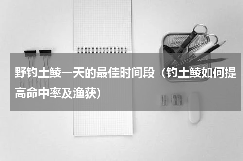野钓土鲮一天的最佳时间段（钓土鲮如何提高命中率及渔获）
