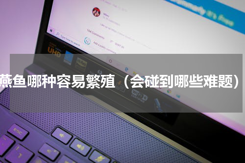 燕鱼哪种容易繁殖（会碰到哪些难题）