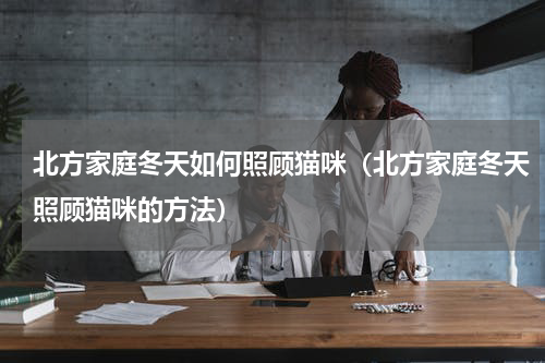 北方家庭冬天如何照顾猫咪（北方家庭冬天照顾猫咪的方法）