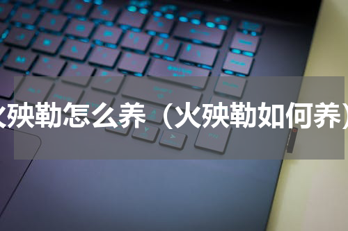 火殃勒怎么养（火殃勒如何养）