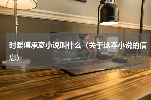 时暖傅承彦小说叫什么（关于这本小说的信息）