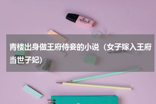 青楼出身做王府侍妾的小说（女子嫁入王府当世子妃）