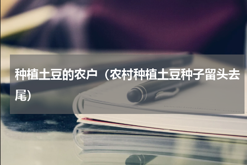 种植土豆的农户（农村种植土豆种子留头去尾）