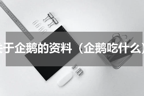 关于企鹅的资料（企鹅吃什么）