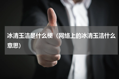 冰清玉洁是什么梗（网络上的冰清玉洁什么意思）
