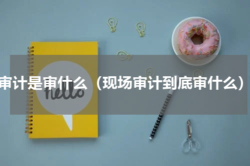 审计是审什么（现场审计到底审什么）