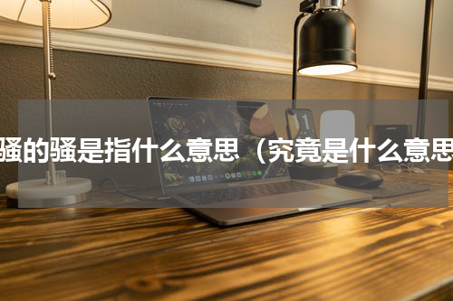 离骚的骚是指什么意思（究竟是什么意思）