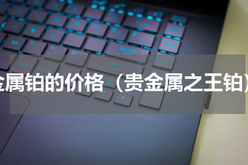 金属铂的价格（贵金属之王铂）