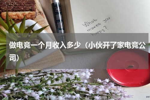 做电竞一个月收入多少（小伙开了家电竞公司）