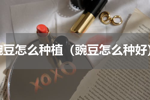 豌豆怎么种植（豌豆怎么种好）
