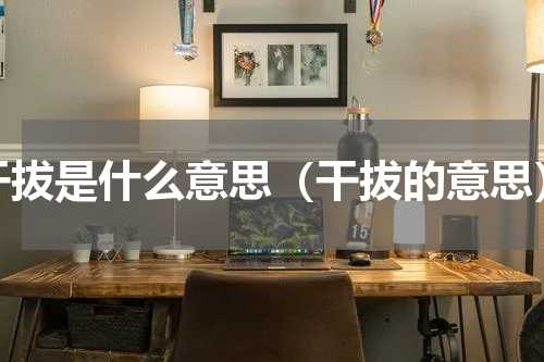 干拔是什么意思（干拔的意思）