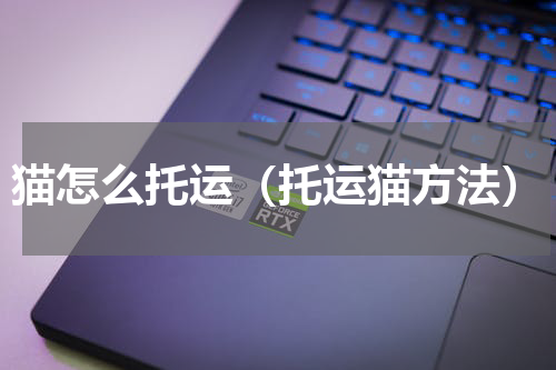 猫怎么托运（托运猫方法）