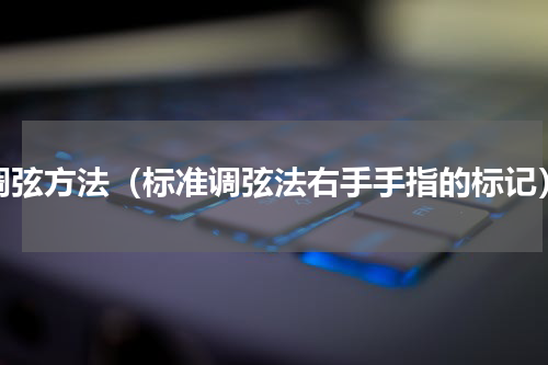 调弦方法（标准调弦法右手手指的标记）
