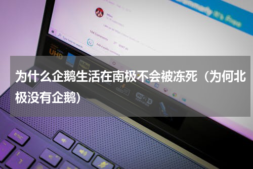 为什么企鹅生活在南极不会被冻死（为何北极没有企鹅）