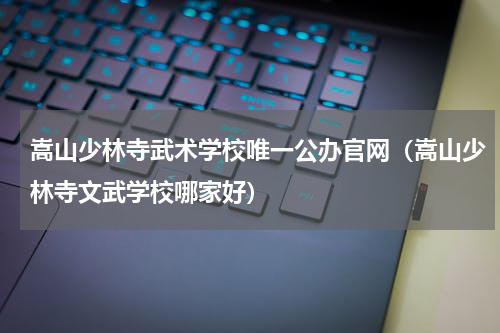 嵩山少林寺武术学校唯一公办官网（嵩山少林寺文武学校哪家好）