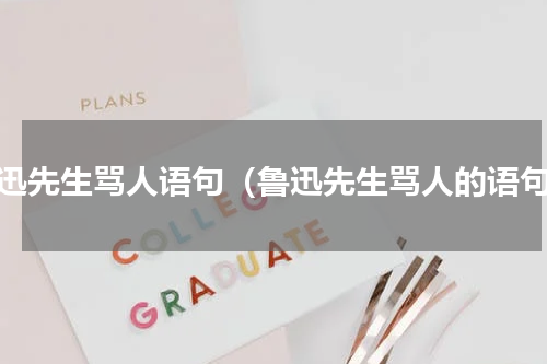 鲁迅先生骂人语句（鲁迅先生骂人的语句）