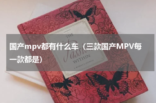 国产mpv都有什么车（三款国产MPV每一款都是）