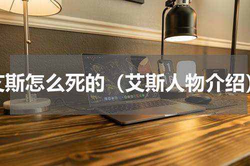 艾斯怎么死的（艾斯人物介绍）