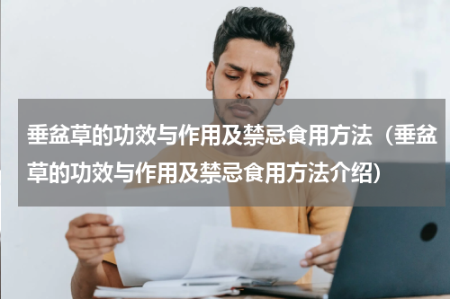 垂盆草的功效与作用及禁忌食用方法（垂盆草的功效与作用及禁忌食用方法介绍）