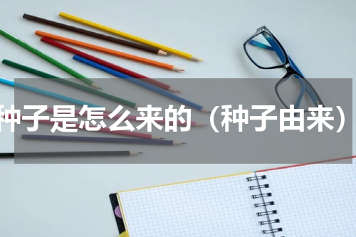 种子是怎么来的（种子由来）