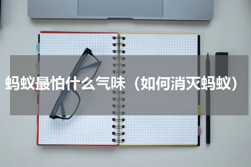 蚂蚁最怕什么气味（如何消灭蚂蚁）