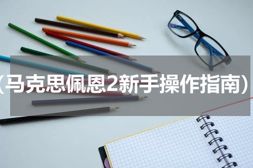 （马克思佩恩2新手操作指南）