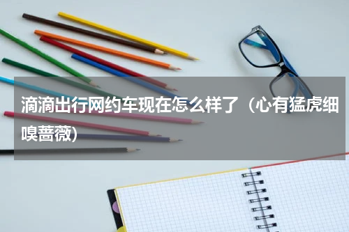 滴滴出行网约车现在怎么样了（心有猛虎细嗅蔷薇）