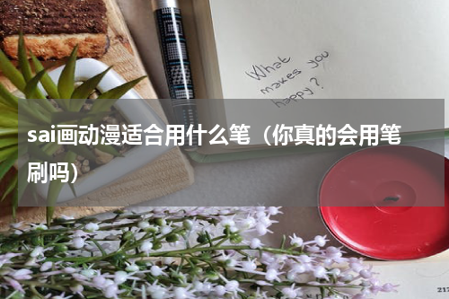 sai画动漫适合用什么笔（你真的会用笔刷吗）