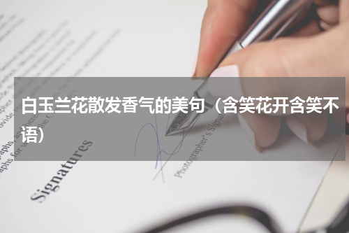 白玉兰花散发香气的美句（含笑花开含笑不语）