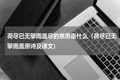 荷尽已无擎雨盖尽的意思是什么（荷尽已无擎雨盖原诗及译文）