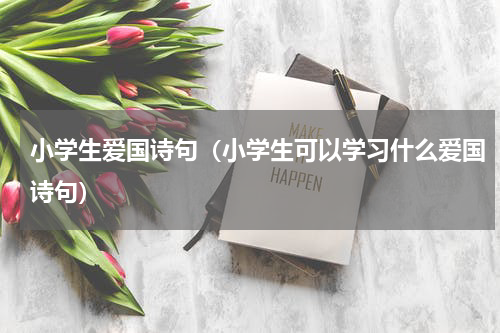 小学生爱国诗句（小学生可以学习什么爱国诗句）