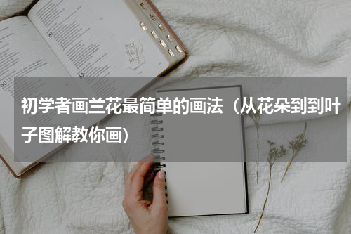 初学者画兰花最简单的画法（从花朵到到叶子图解教你画）