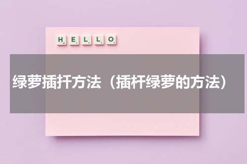 绿萝插扦方法（插杆绿萝的方法）