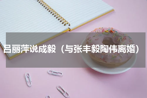 吕丽萍说成毅（与张丰毅陶伟离婚）