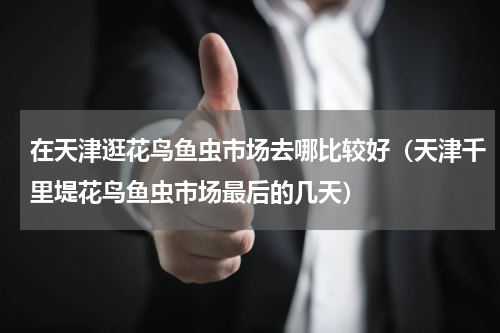 在天津逛花鸟鱼虫市场去哪比较好（天津千里堤花鸟鱼虫市场最后的几天）
