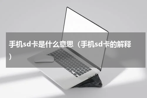 手机sd卡是什么意思（手机sd卡的解释）