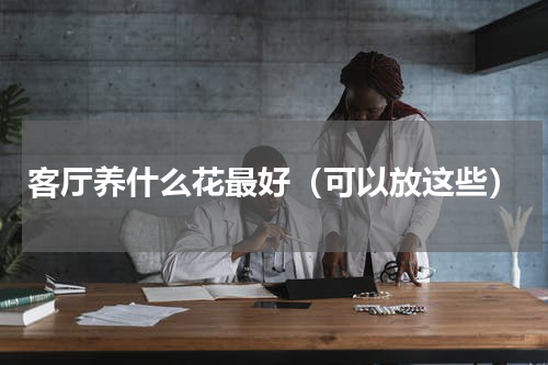 客厅养什么花最好（可以放这些）
