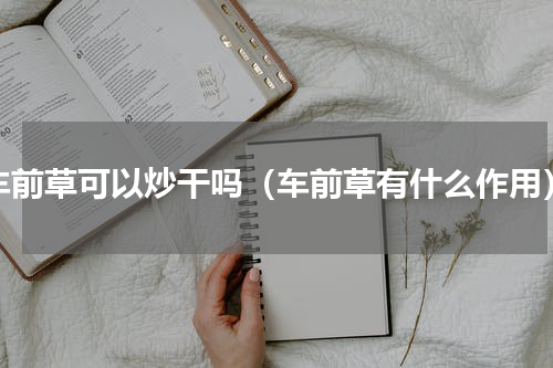 车前草可以炒干吗（车前草有什么作用）