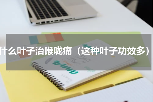 什么叶子治喉咙痛（这种叶子功效多）