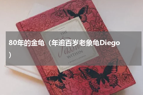 80年的金龟（年逾百岁老象龟Diego）