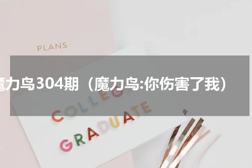 魔力鸟304期（魔力鸟:你伤害了我）
