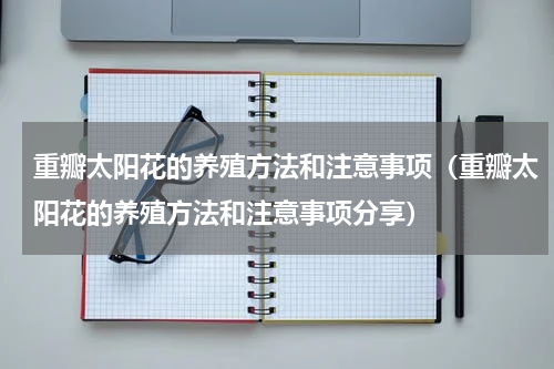 重瓣太阳花的养殖方法和注意事项（重瓣太阳花的养殖方法和注意事项分享）