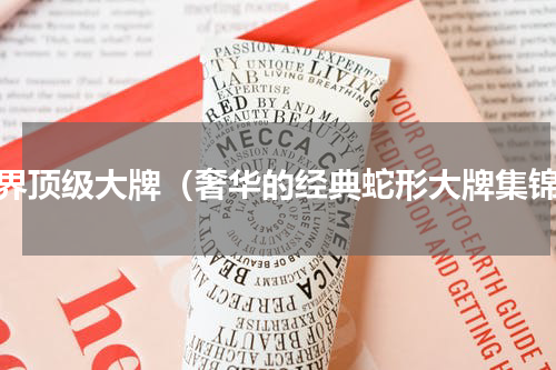 世界顶级大牌（奢华的经典蛇形大牌集锦）