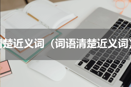 清楚近义词（词语清楚近义词）