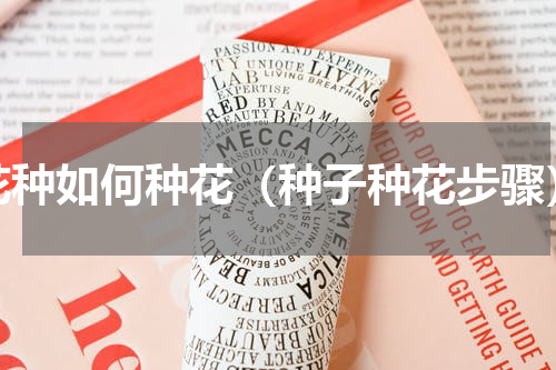 花种如何种花（种子种花步骤）