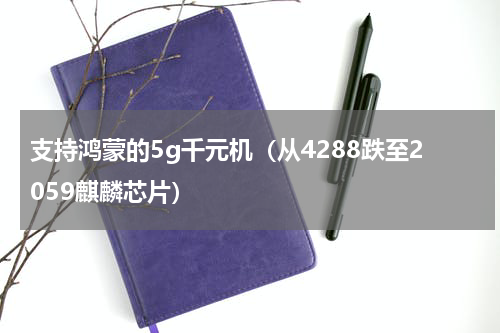 支持鸿蒙的5g千元机（从4288跌至2059麒麟芯片）